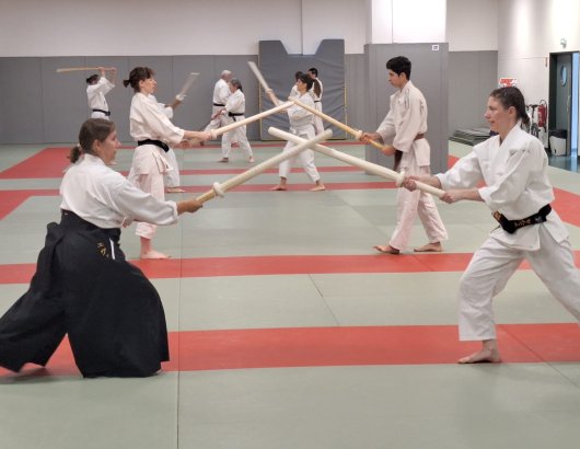 Kenjutsu - kiri musubi
