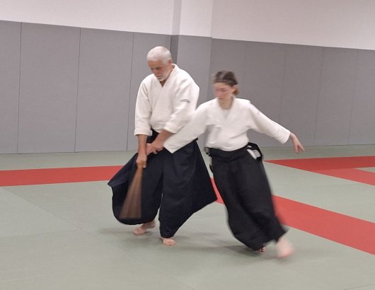 Tachi dori kote gaeshi